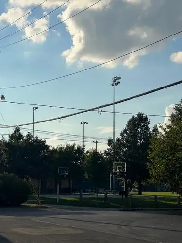 Sunny court vibes and a tangled sky.